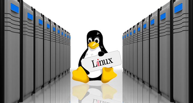 Hosting Linux là gì? Tại sao Linux Hosting là sự lựa chọn tốt nhất cho Website